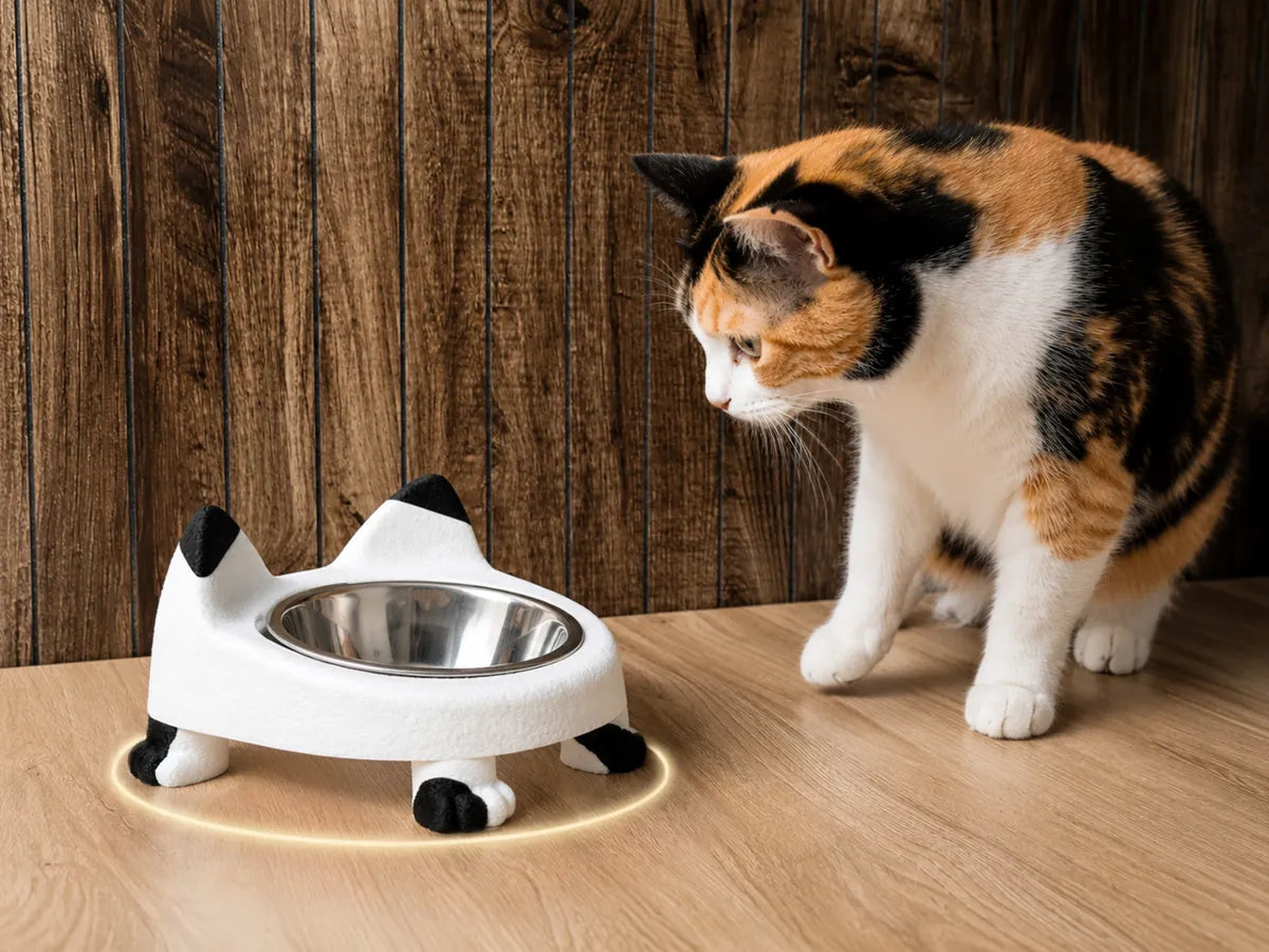 Raised Cat Bowl Stand | Yükseltilmiş Kedi Mama Kabı Standı