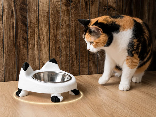 Raised Cat Bowl Stand | Yükseltilmiş Kedi Mama Kabı Standı