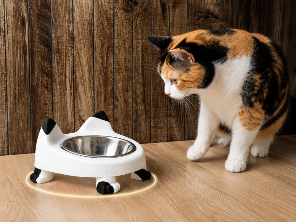 Raised Cat Bowl Stand | Yükseltilmiş Kedi Mama Kabı Standı