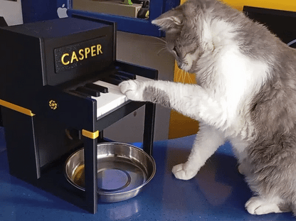 Piyano Etkileşimli Kedi Ödül Maması Dispenseri