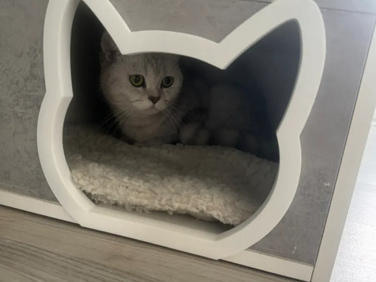 Kedi Başı Şeklinde Kedi Kapısı Çerçevesi | Dekoratif Kedi Geçişi