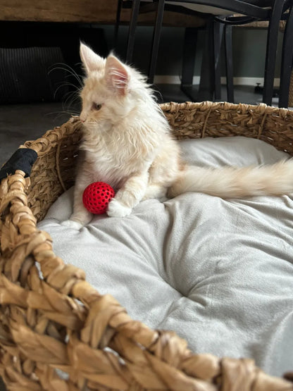Kedi Fidget Oyuncağı | İç İçe Hareketli Top Oyuncağı