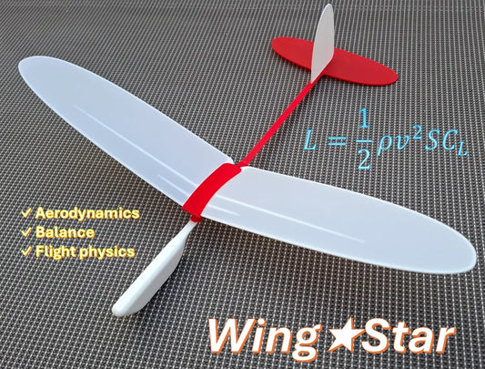 WingStar Uçan Planör Modeli | 3D Baskı Serbest Uçuş Oyuncağı