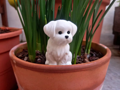 Küçük Malta Teriyeri (Little Maltese Dog) - 3D Baskı Sevimli Köpek Figürü