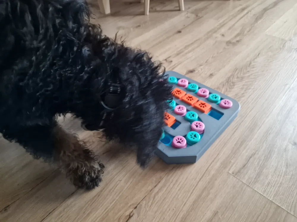 Köpek Zekâ Oyuncağı Seviye 3 | Ödül Hazneli Etkileşimli Bulmaca Oyuncağı