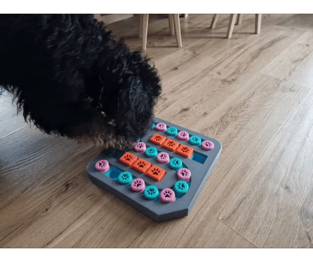 Köpek Zekâ Oyuncağı Seviye 3 | Ödül Hazneli Etkileşimli Bulmaca Oyuncağı