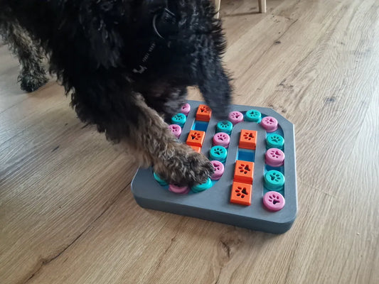 Köpek Zekâ Oyuncağı Seviye 3 | Ödül Hazneli Etkileşimli Bulmaca Oyuncağı