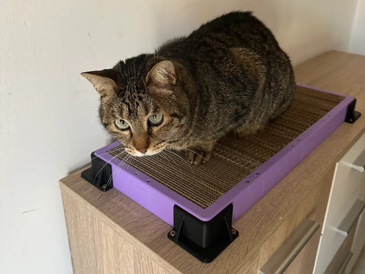 Kedi Tırmalama Tahtası | Yenilenebilir Kartonlu Kedi Tırmalama Alanı