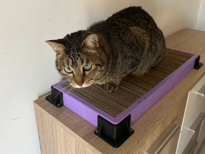 Kedi Tırmalama Tahtası | Yenilenebilir Kartonlu Kedi Tırmalama Alanı