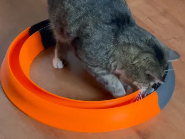 Kedi Oyun Tüneli – Toplu İnteraktif Kedi Oyuncağı