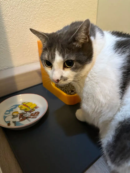 Otomatik Kedi Mama Dispenseri – Yerçekimi Destekli Kuru Mama Besleyici