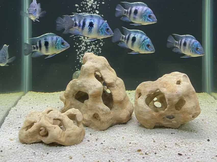 Aqua Stones Doğal Kaya Dekoru | Akvaryum ve Teraryum İçin 3D Baskı Yapısal Kayalar, 3'lü set