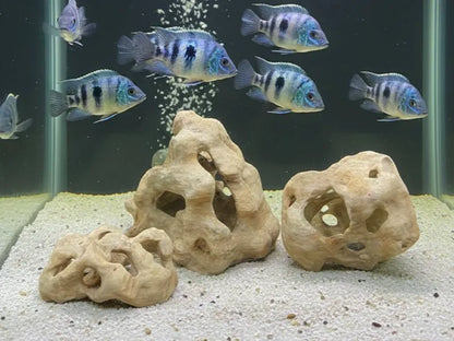 Aqua Stones Doğal Kaya Dekoru | Akvaryum ve Teraryum İçin 3D Baskı Yapısal Kayalar, 3'lü set
