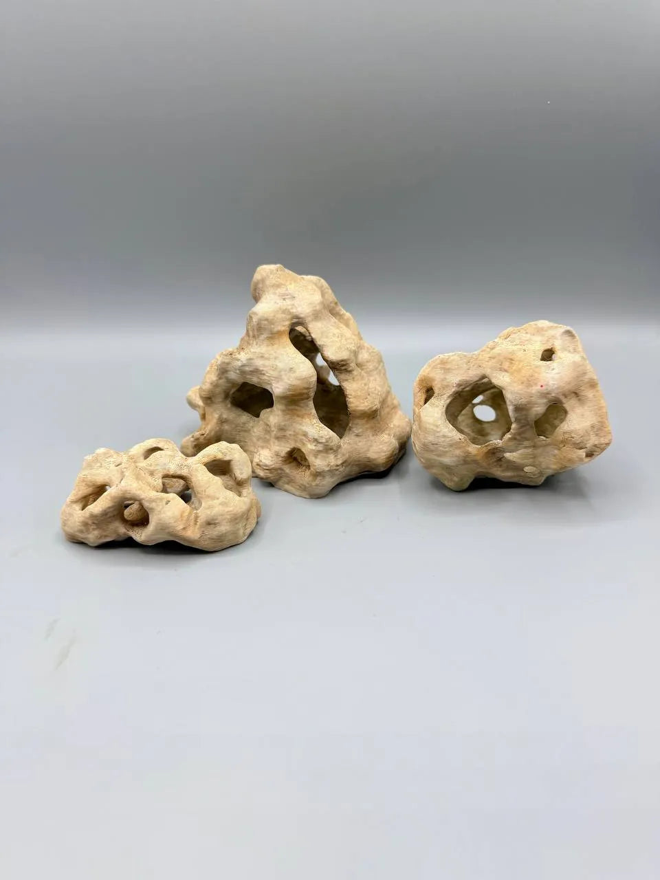 Aqua Stones Doğal Kaya Dekoru | Akvaryum ve Teraryum İçin 3D Baskı Yapısal Kayalar, 3'lü set