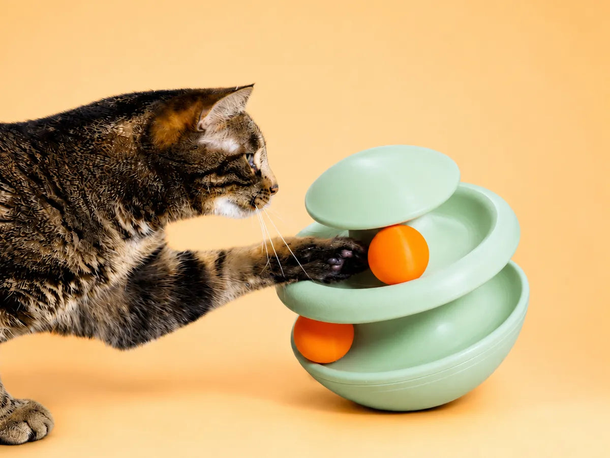 Hareketli Toplu Kedi Oyuncağı – 2 Döner Toplu İnteraktif Evcil Hayvan Oyuncağı