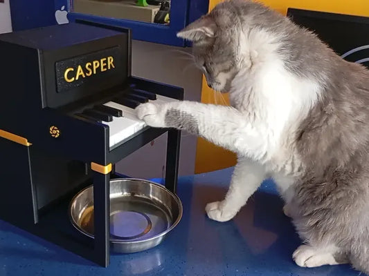 Piyano Etkileşimli Kedi Ödül Maması Dispenseri