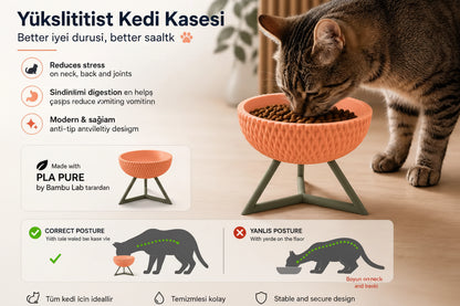 Yükseltilmiş Kedi Mama ve Su Kabı