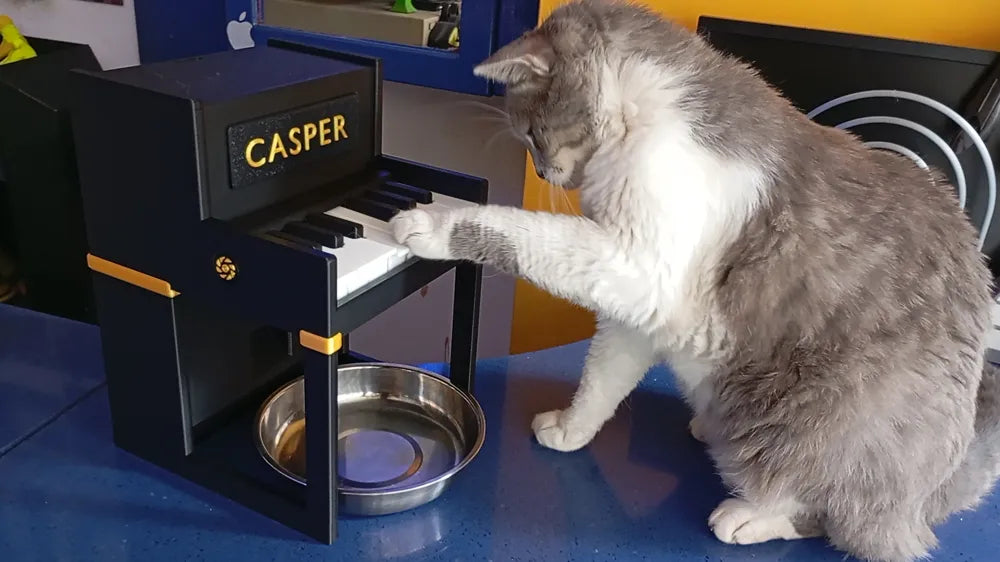 Piyano Etkileşimli Kedi Ödül Maması Dispenseri