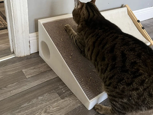 Eğimli Kedi Tırmalama Tahtası | 23 cm Karton Uyumlu Kedi Oyuncağı