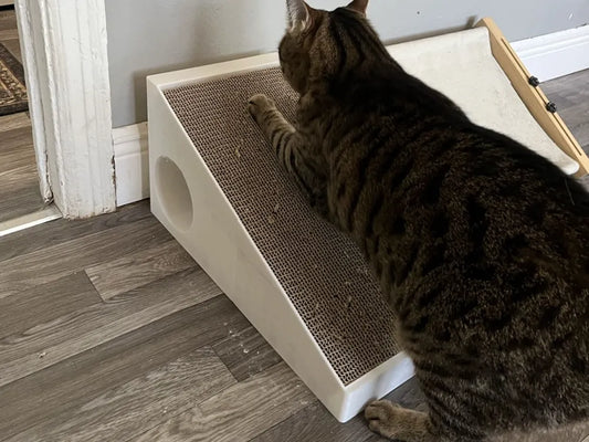 Eğimli Kedi Tırmalama Tahtası | 23 cm Karton Uyumlu Kedi Oyuncağı