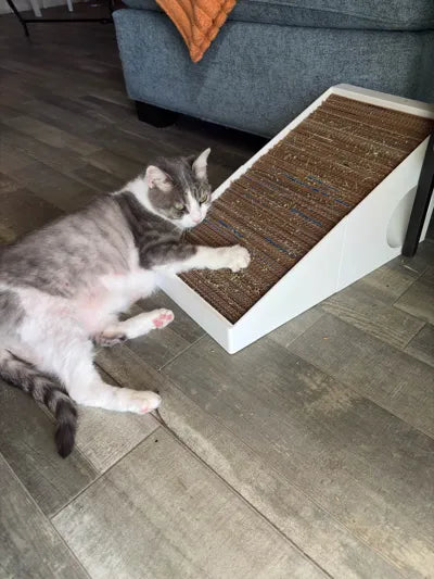 Eğimli Kedi Tırmalama Tahtası | 23 cm Karton Uyumlu Kedi Oyuncağı
